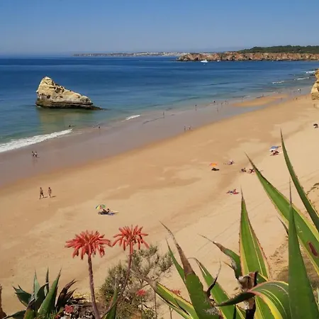 Spectacular Mar A Vista