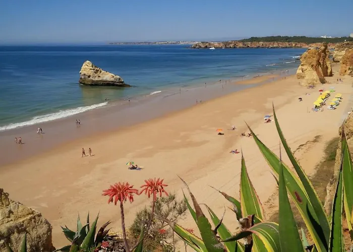 Spectacular Mar A Vista